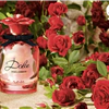 nước hoa dolce & gabbana rose