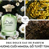 nước hoa d&g dolce