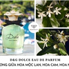 nước hoa dolce & gabbana dolce