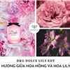 nước hoa dolce lily