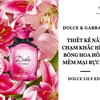 nước hoa dolce & gabbana dolce lily