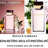 nước hoa dolce & gabbana pour femme