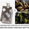 nước hoa Burberry Brit 100ml