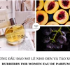 Nước Hoa Burberry For Women Eau De Parfum nữ