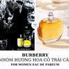 nước hoa Burberry vàng