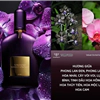 tom ford eau de parfum velvet orchid