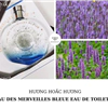 nước hoa hermes eau des merveilles bleue edt