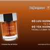 nước hoa Yves Saint Laurent Eau de Parfum