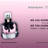 nước hoa YSL hồng 50ml        