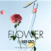 nước hoa Kenzo Flower
