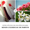Flower By Kenzo L’Elixir Eau De Parfum
