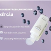 Toner Blueberry Innisfree Rebalancing Skin