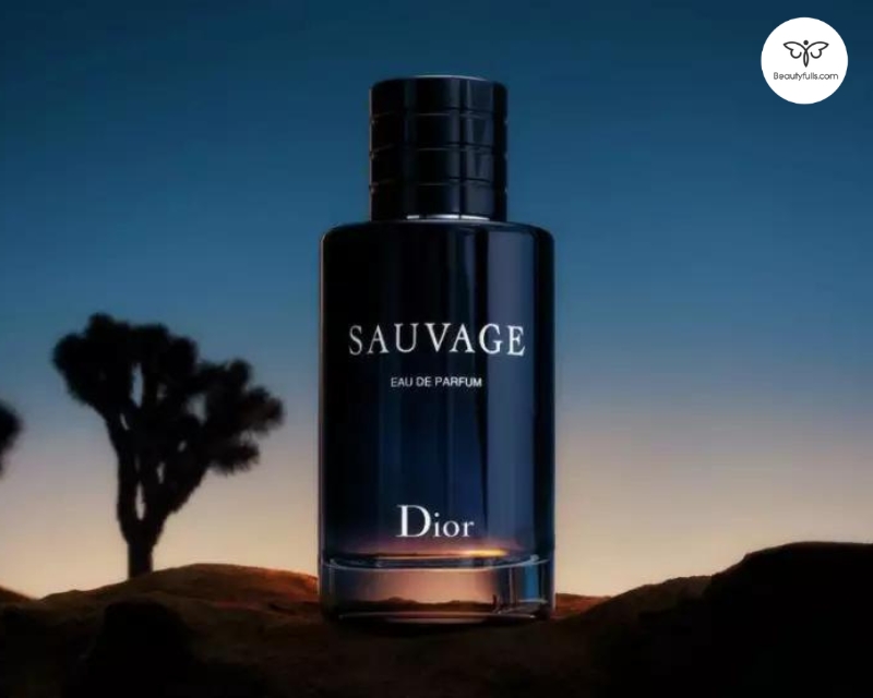 Dior Sauvage EDT 200ml Perfume  Ritzy Store