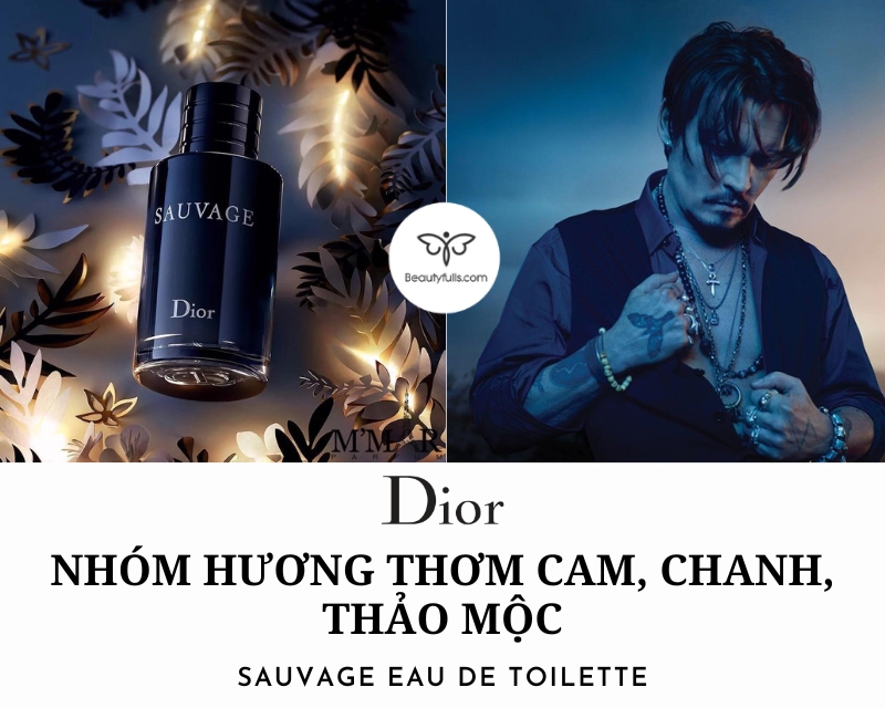 Amazoncom Christian Dior Sauvage Eau De Toilette Spray for Men 34 Fluid  Ounce