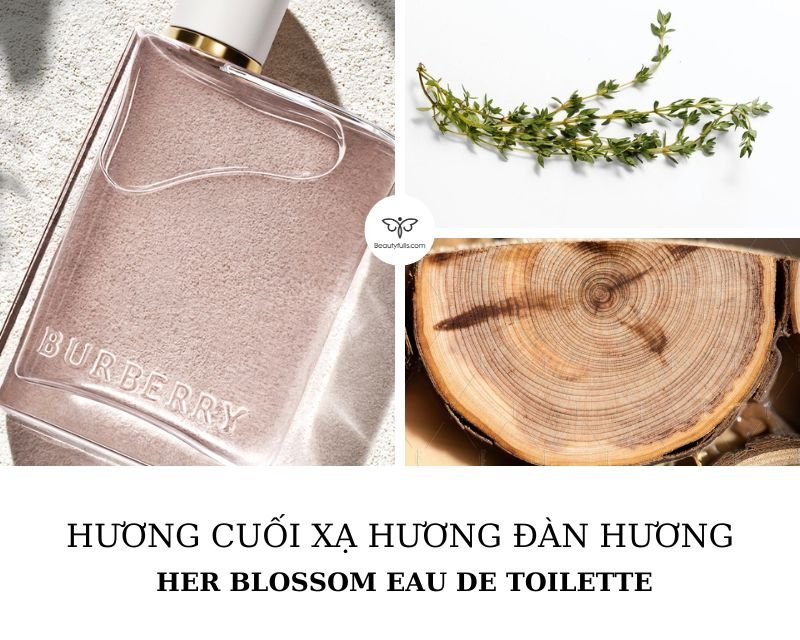 nuoc-hoa-burberry-her-blossom-eau-de-toilette