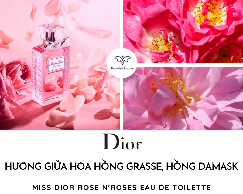 ROSE KABUKI  Fragrance  Dior Beauty Online Boutique Singapore