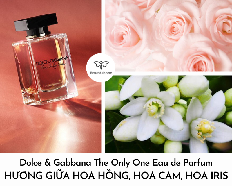 nuoc-hoa-dolce-gabbana-nu-the-only-one
