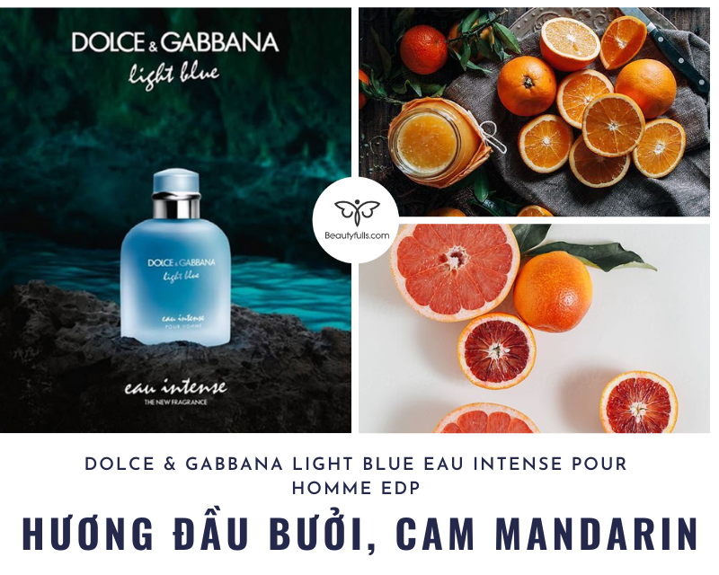 dolce-gabbana-light-blue-intense