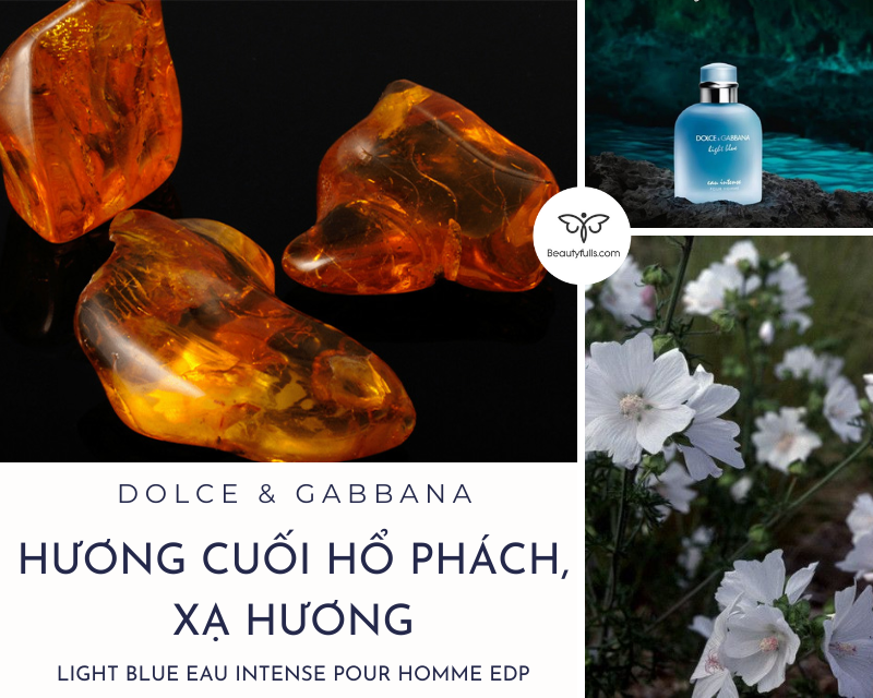 nuoc-hoa-dolce-gabbana-light-blue