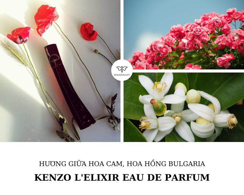 flower-by-kenzo-l-elixir-edp