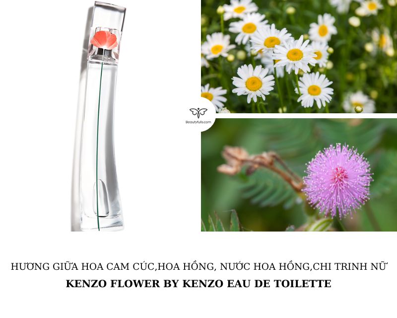 nuoc-hoa-kenzo-flower