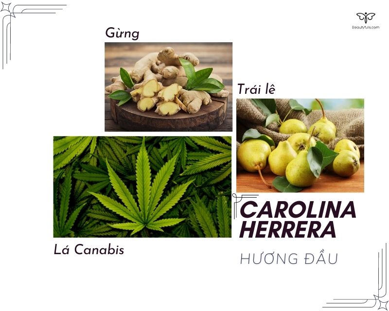 nuoc-hoa-carolina-herrera-212-.jpg