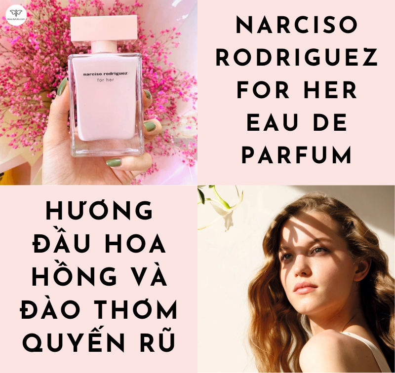 narciso-hong-phan-.png