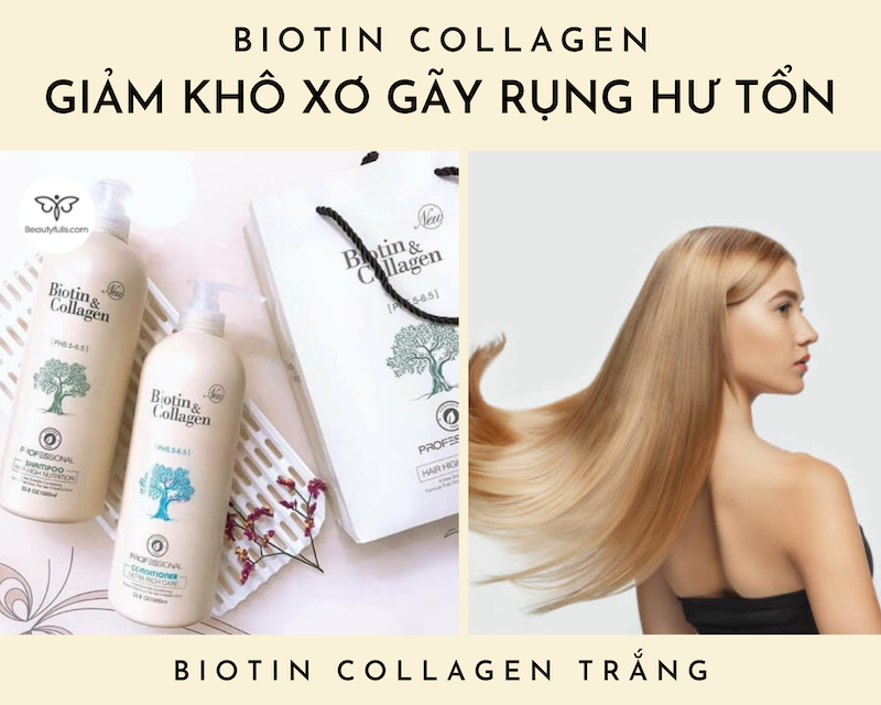 dau-goi-biotin-collagen-chinh-hang