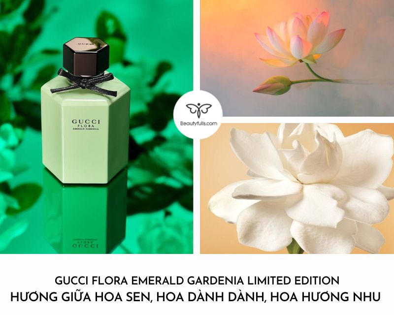 nuoc-hoa-gucci-flora-xanh-emerald-gardenia-cho-nu-50ml