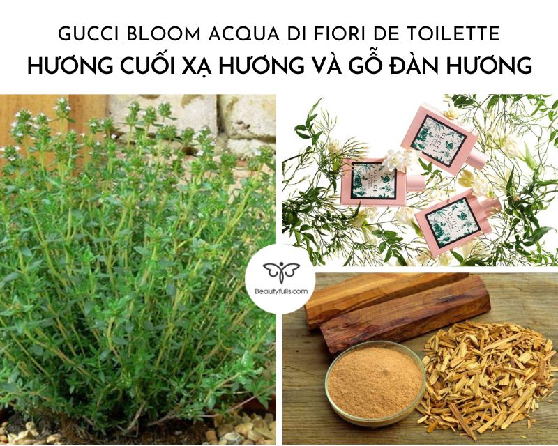 gucci-bloom-acqua-di-fiori-eau-de-toilette-30ml