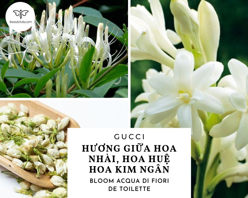 nuoc-hoa-gucci-bloom-acqua-di-fioricho-nu-30ml