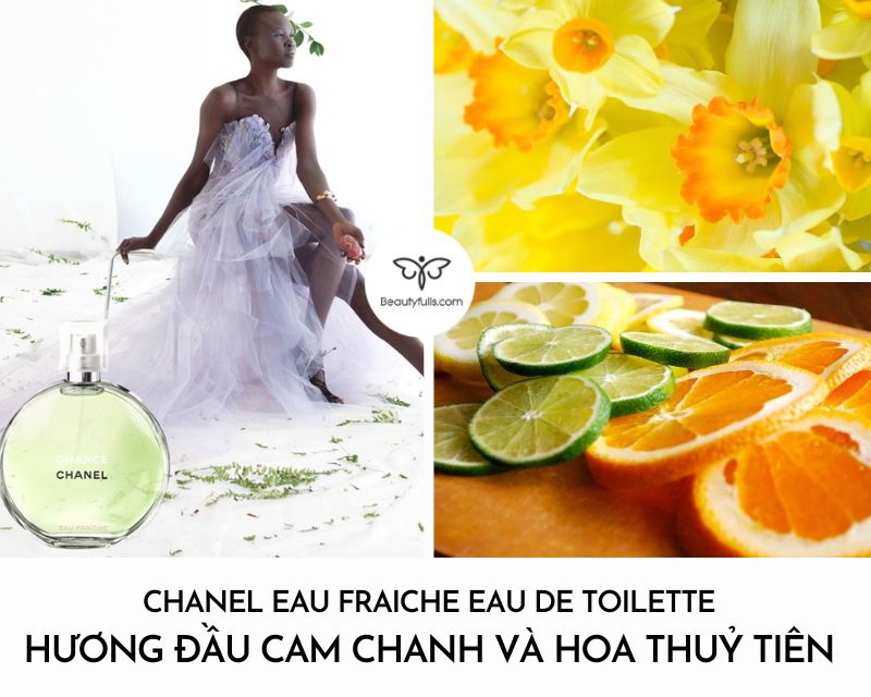 nuoc-hoa-chanel-xanh-chance-eau-fraiche-eau-de-parfum-50ml