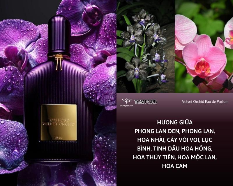 nuoc-hoa-tom-ford-velvet-orchid-eau-de-parfum.