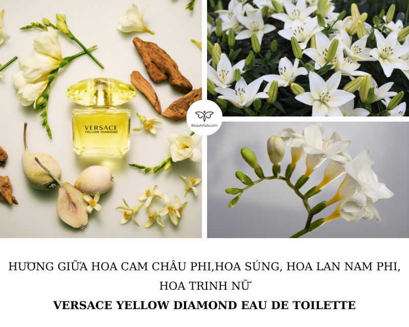 versace-yellow-diamond-for-women