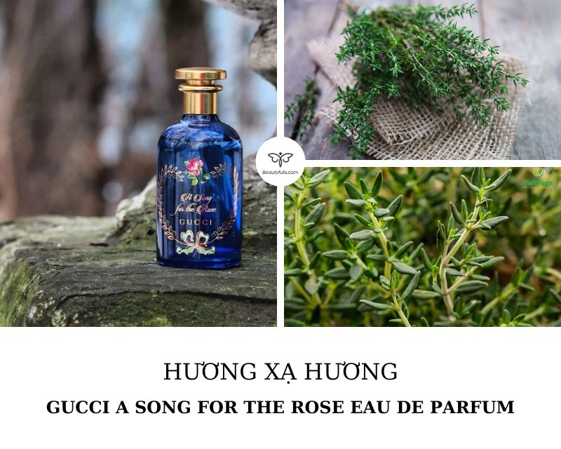 nuoc-hoa-nu_nam-guccia-song-for-the-rose