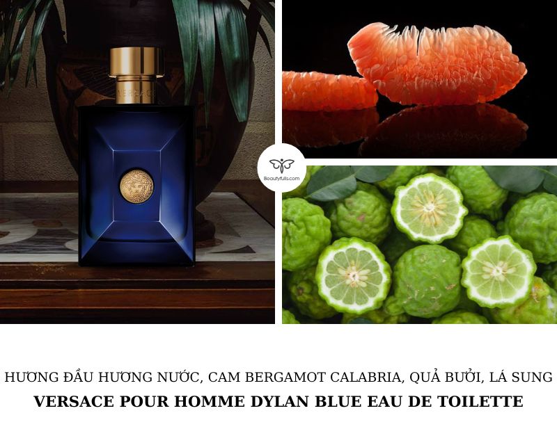 versace-dylan-blue-pour-homme